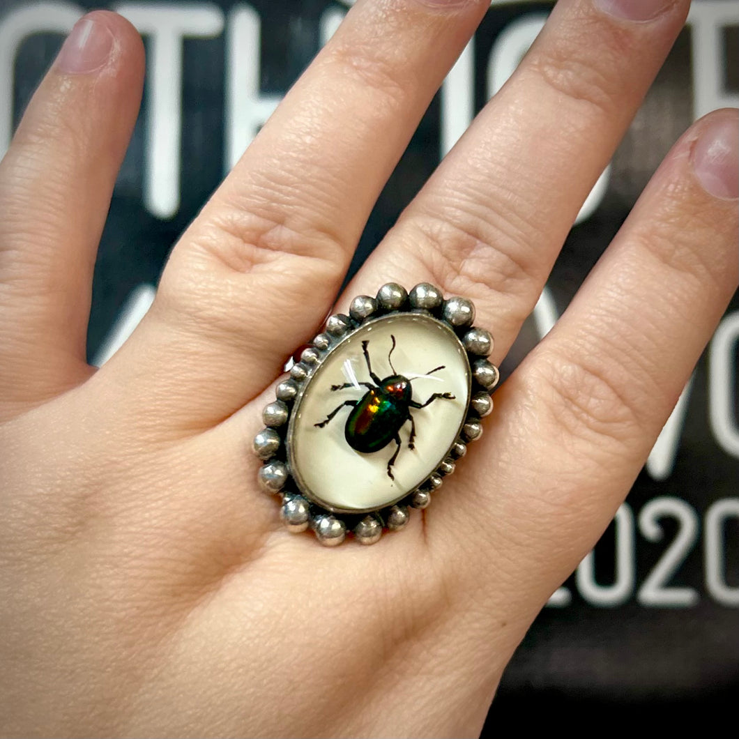 REAL Beetle Statement Ring Size 11